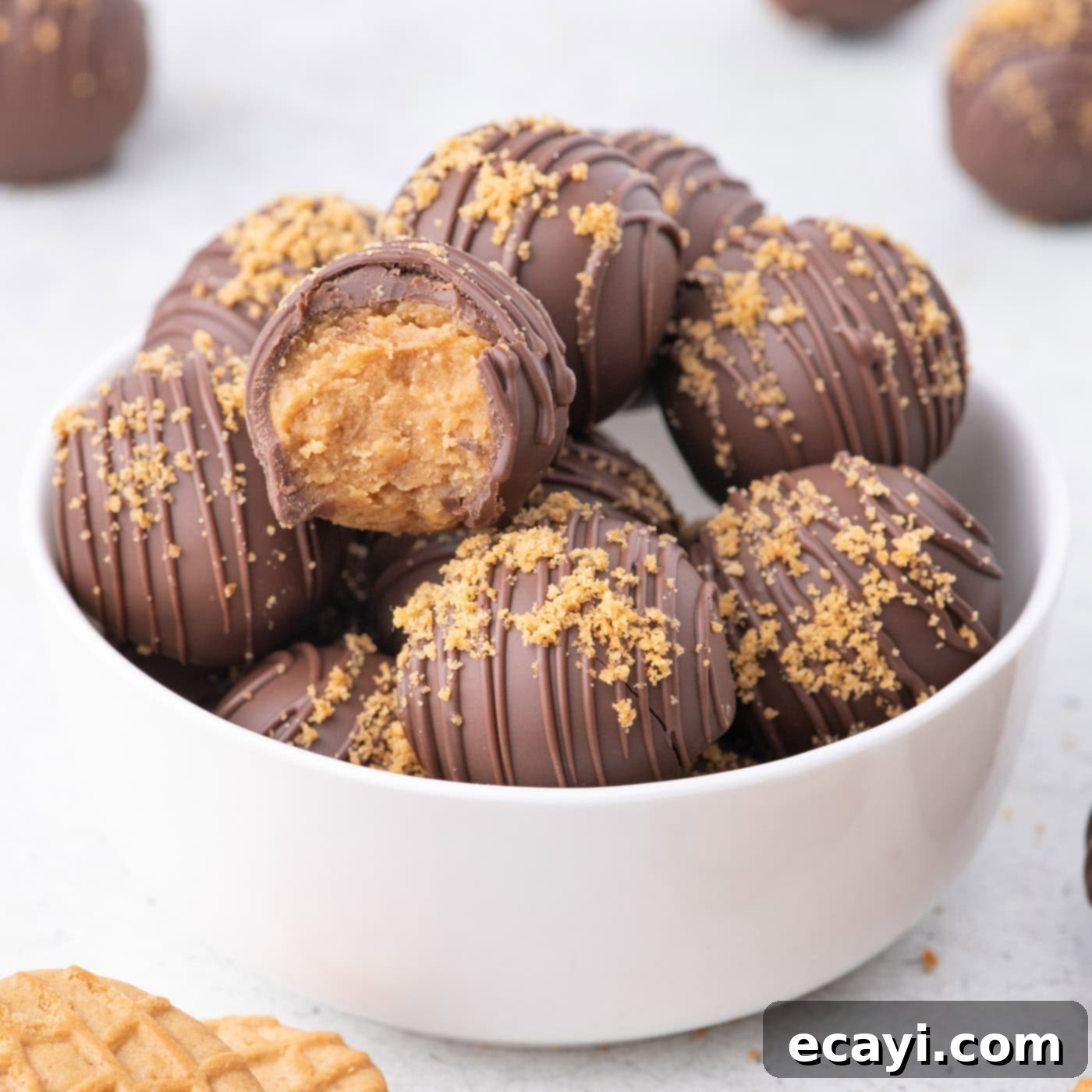 Peanut Butter Truffle Bites 1 featured 100343