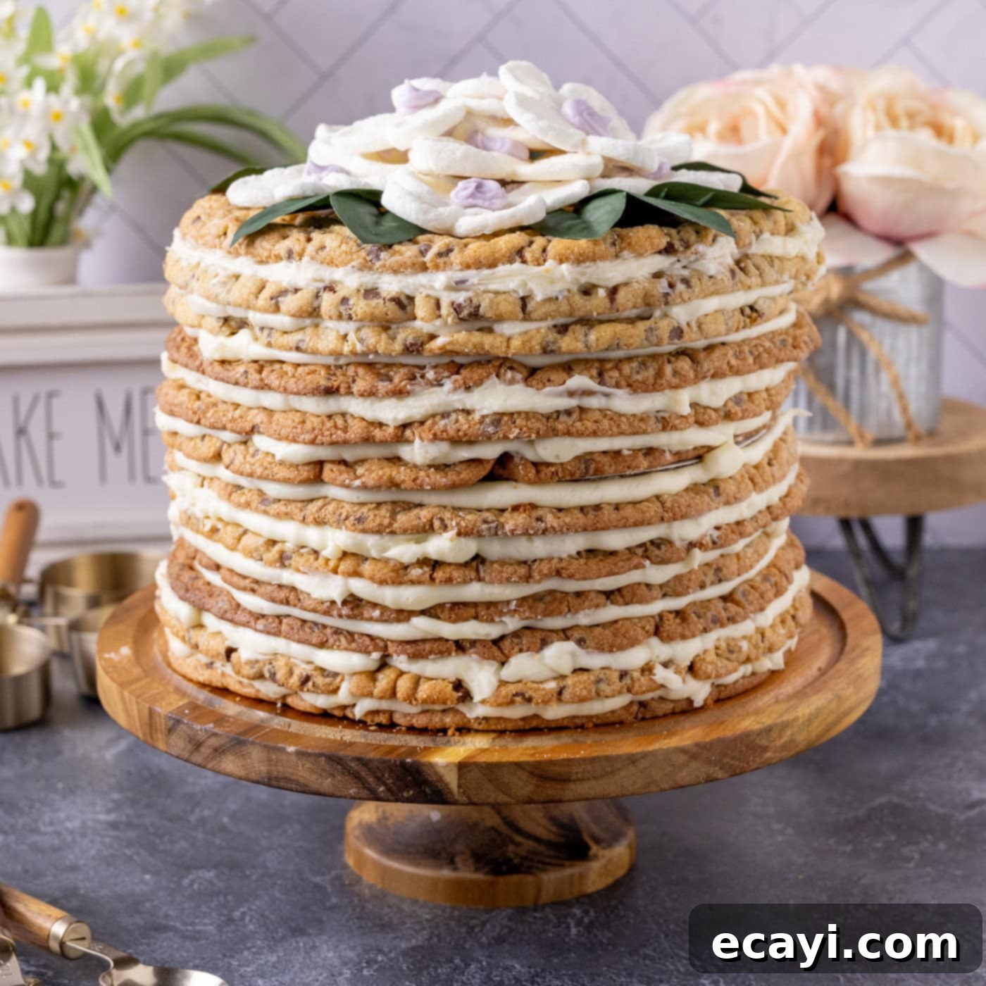 Chocolate Chip Cookie Mountain 1 featured 100667