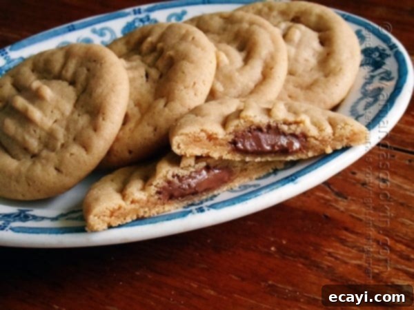 Chocolate-Stuffed Peanut Butter Perfection 1 featured 10166