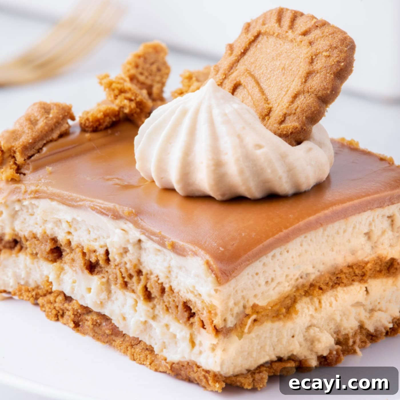 No-Bake Biscoff Bliss 1 featured 103249