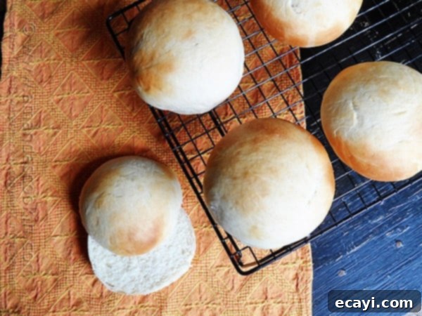 Soft and Fluffy Homemade Burger Buns 1 featured 10349