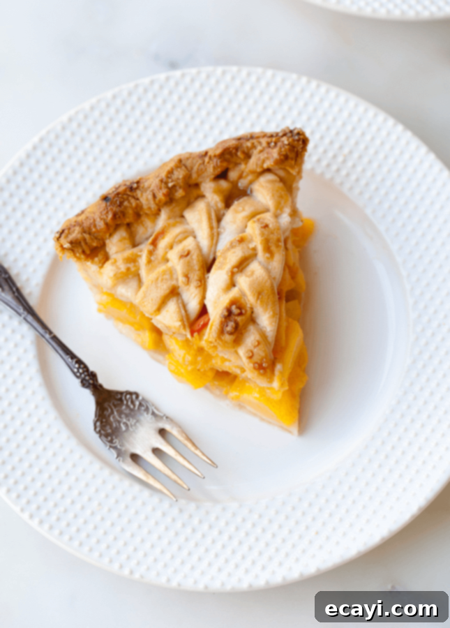 Plaited Peach Cinnamon Dream 1 featured 10704
