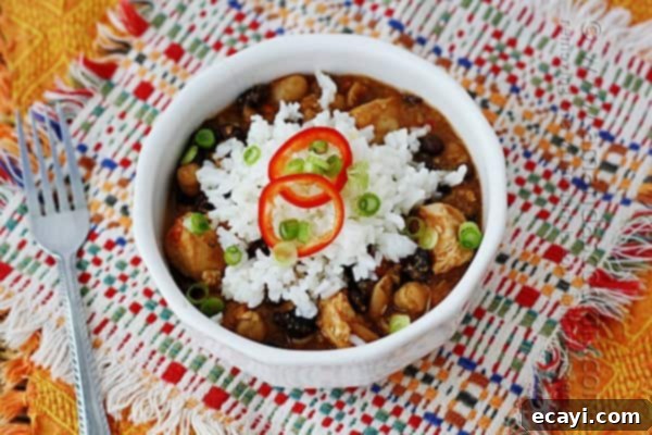 Vibrant Three Bean Salsa Chicken and Rice 1 featured 10743