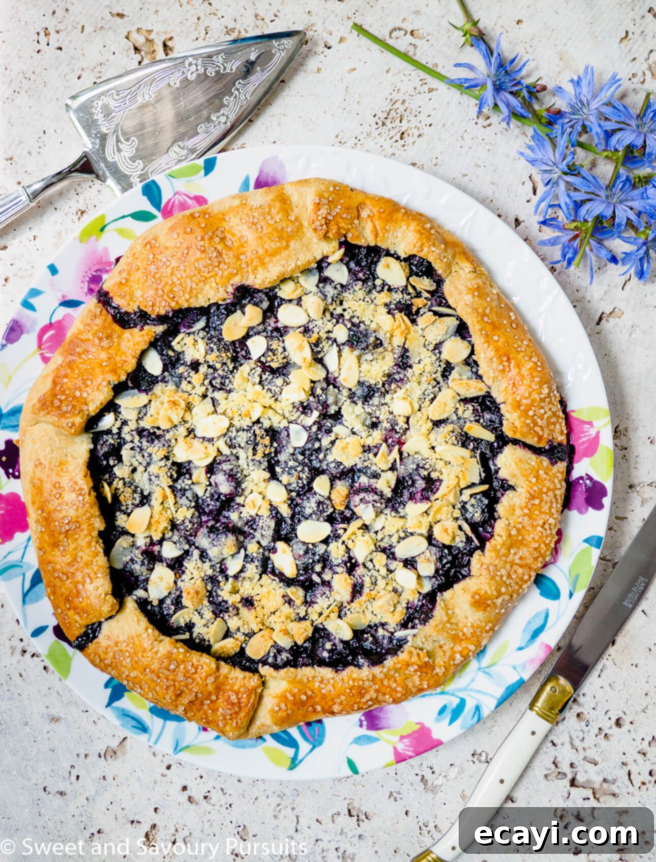 Rustic Blueberry Almond Crumble Galette 1 featured 10878