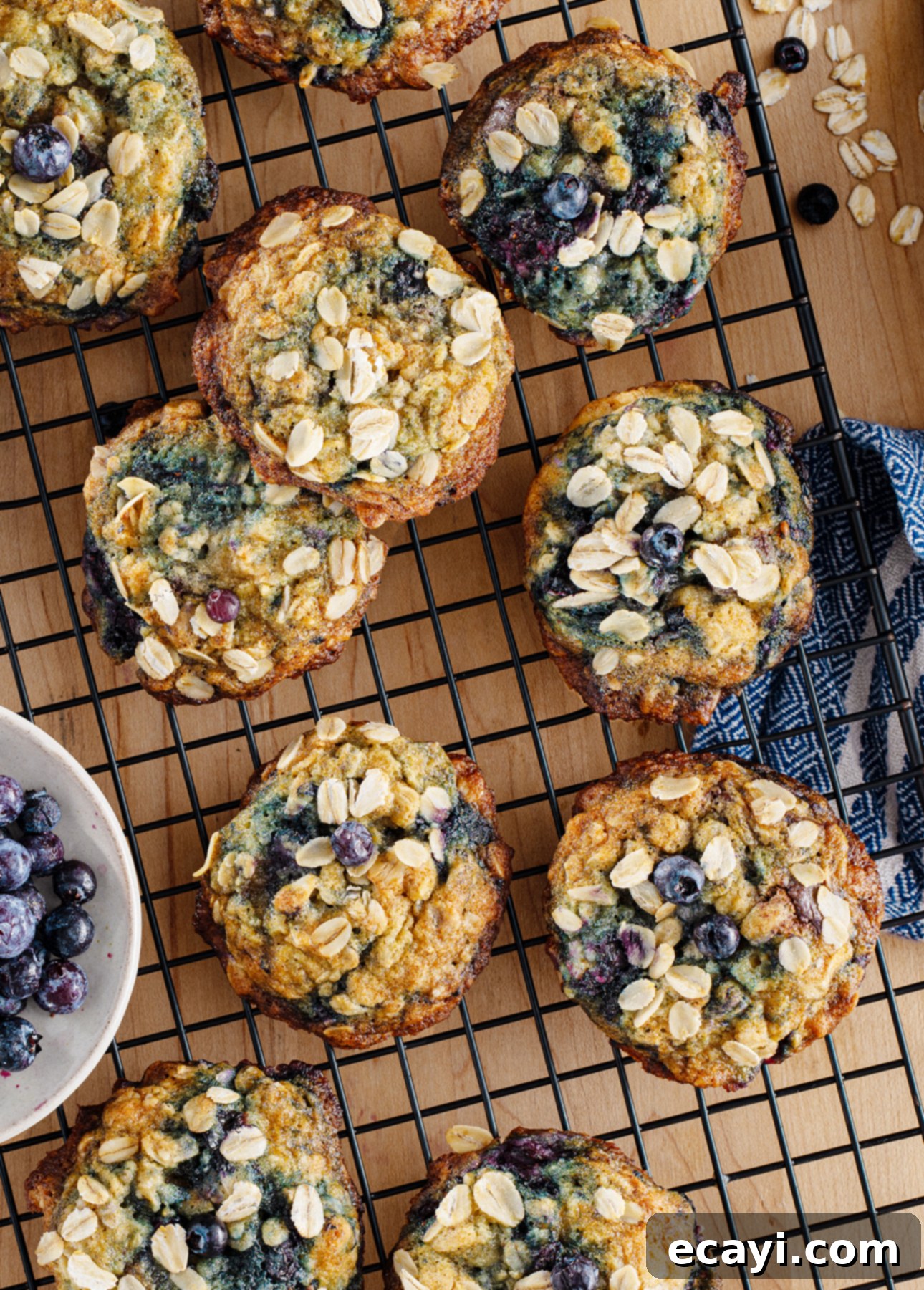 Blueberry Oat Delights 1 featured 10884