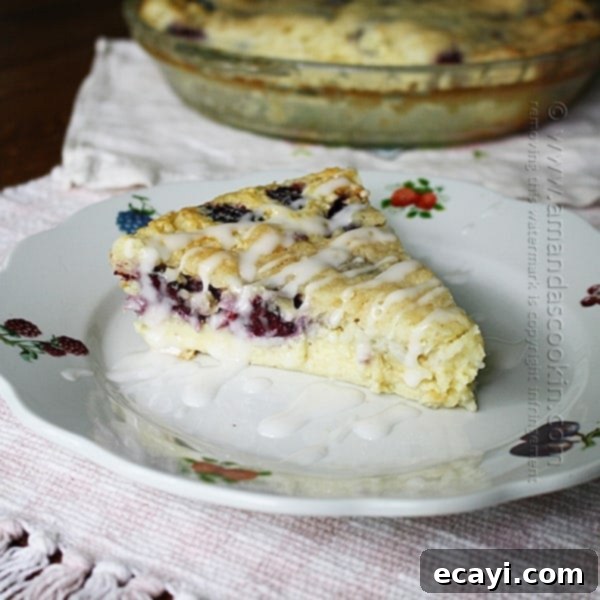 Blackberry Coconut Magic Pie 1 featured 11124