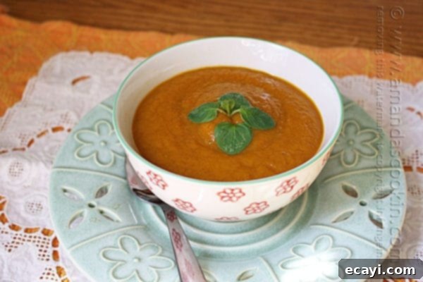 Cozy Slow Cooker Pumpkin Soup 1 featured 11285