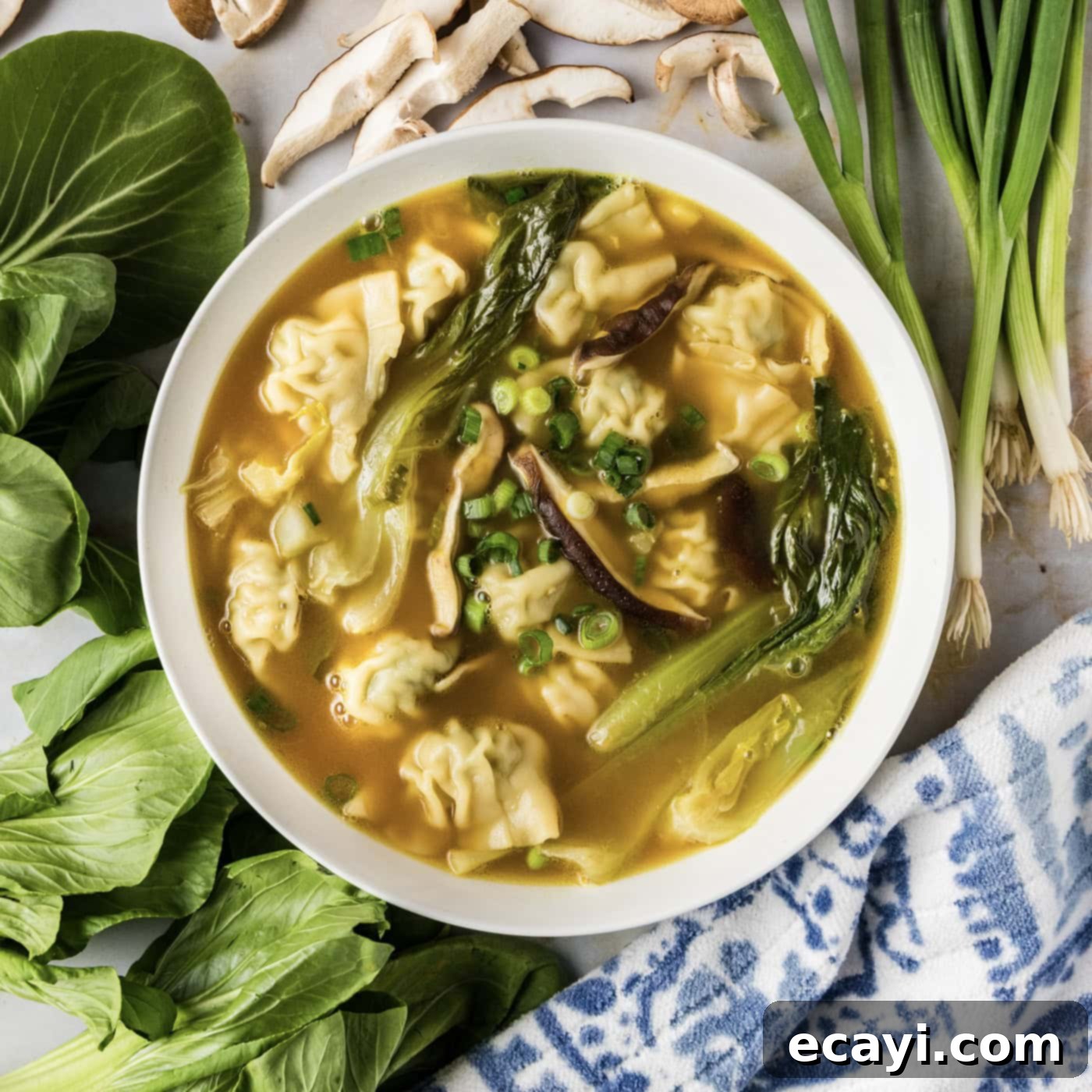 Wonton Wonders 1 featured 115887
