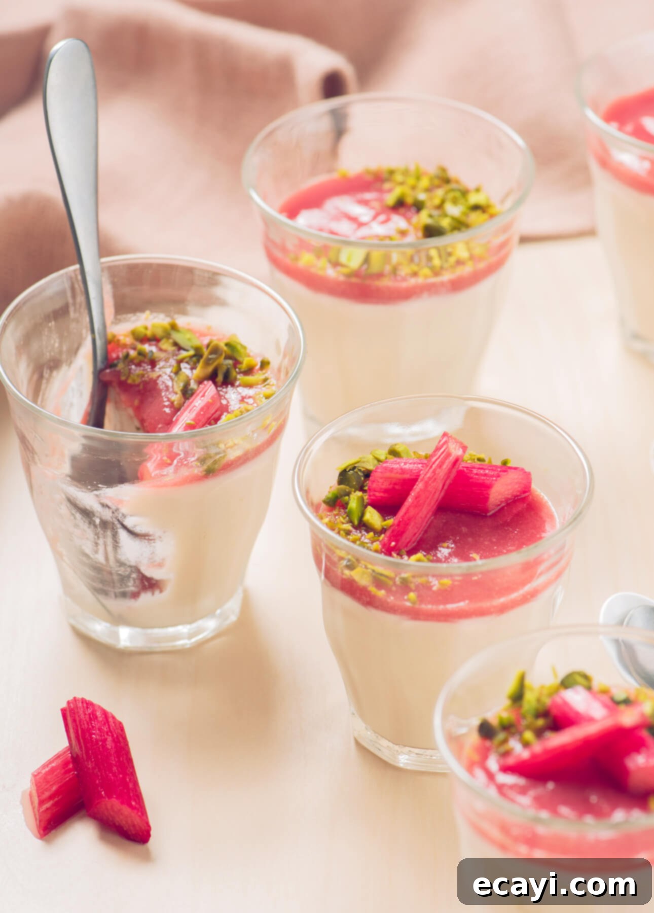 Blush Rhubarb Dream 1 featured 12746