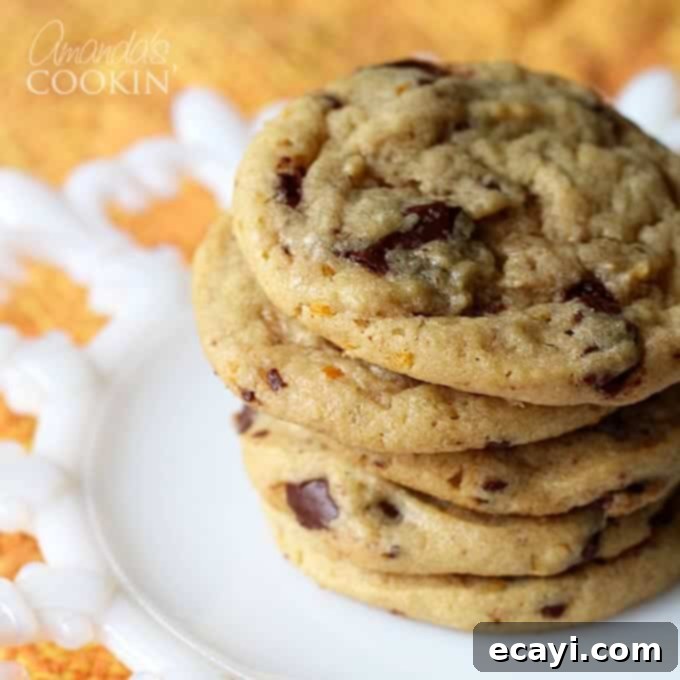 Citrus-Kissed Chocolate Chip Treats 1 featured 12754
