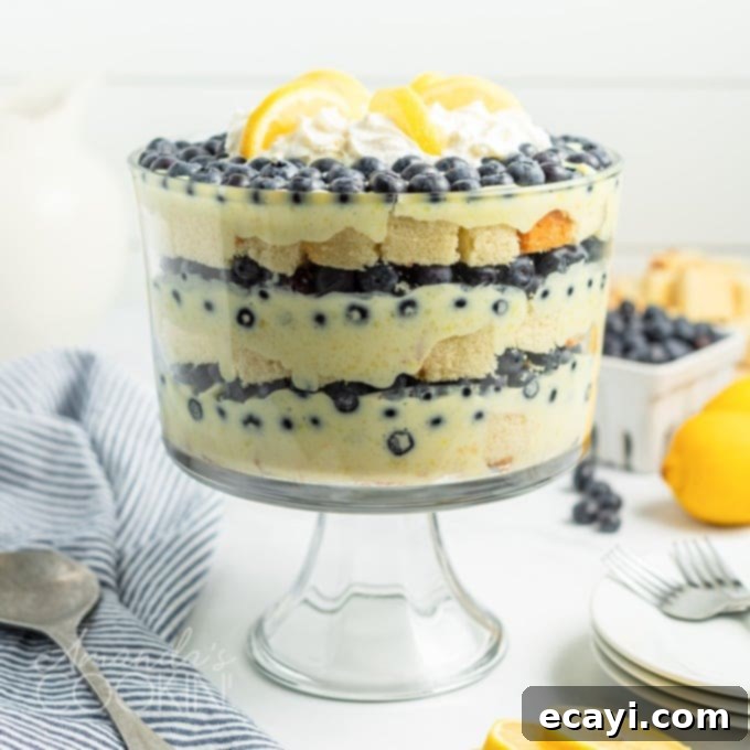 Dreamy Lemon Blueberry Trifle Layers 1 featured 13836