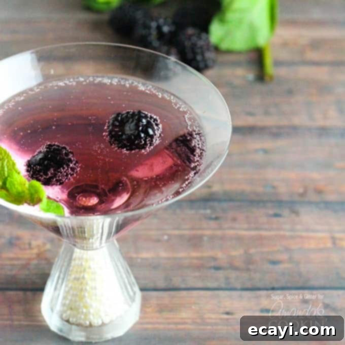 Velvet Berry Martini 1 featured 13930