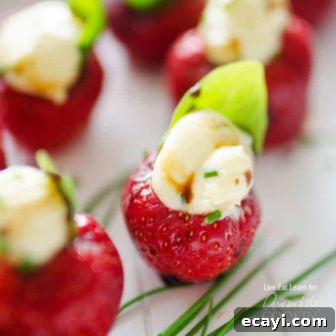 Brie Kissed Strawberries 1 featured 14282