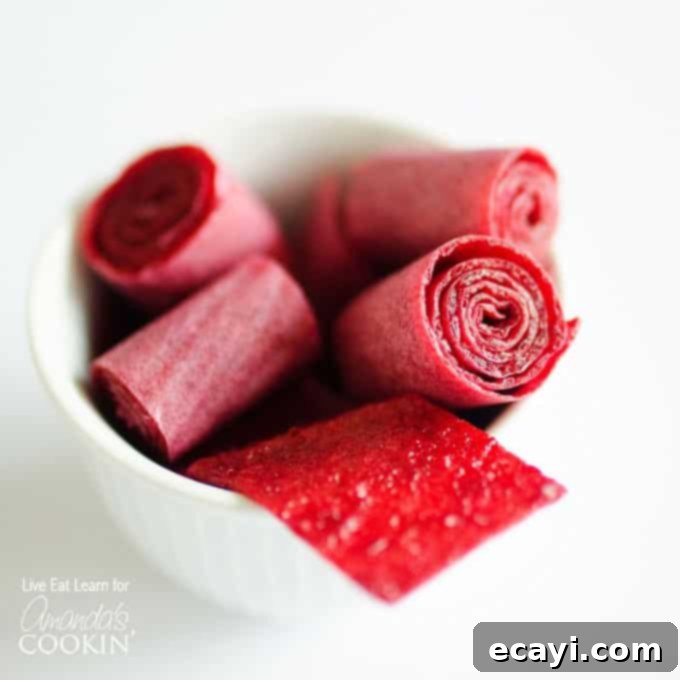 Simple DIY Fruit Leather 1 featured 14563