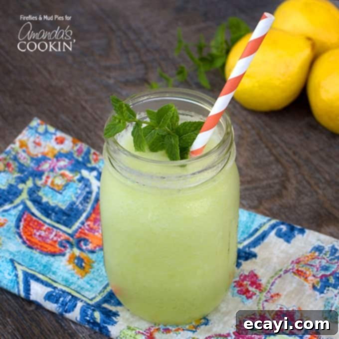 Zesty Honeydew Chill 1 featured 14662