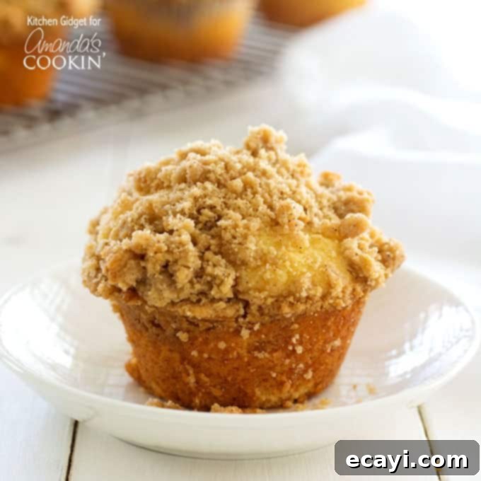 Cinnamon Swirl Crunch Muffins 1 featured 15455