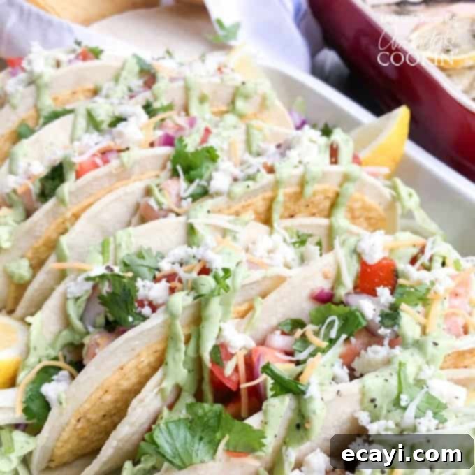 Zesty Salmon Street Tacos 1 featured 15609