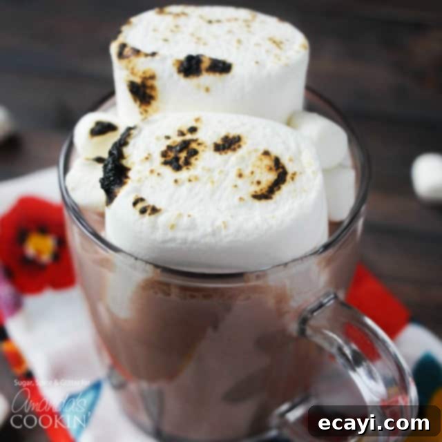 Decadent Chocolate Elixir 1 featured 15969