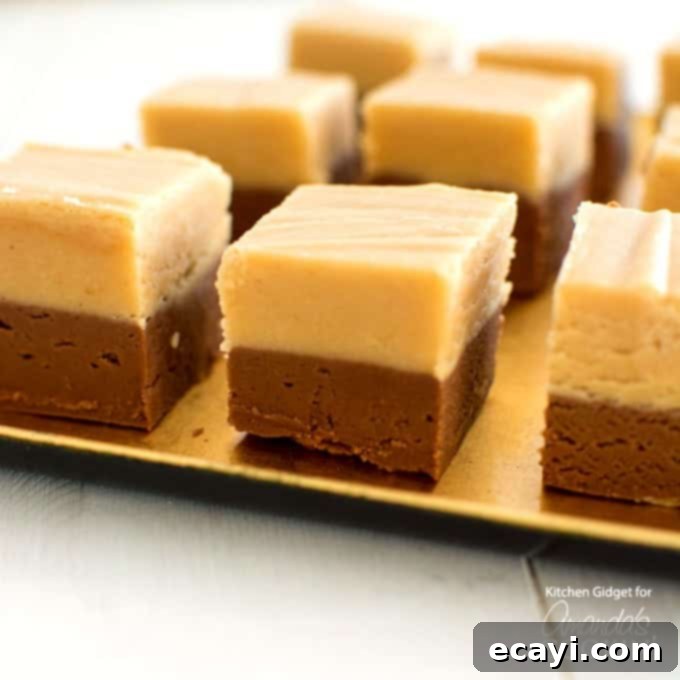 Chocolate Peanut Butter Perfection 1 featured 16029