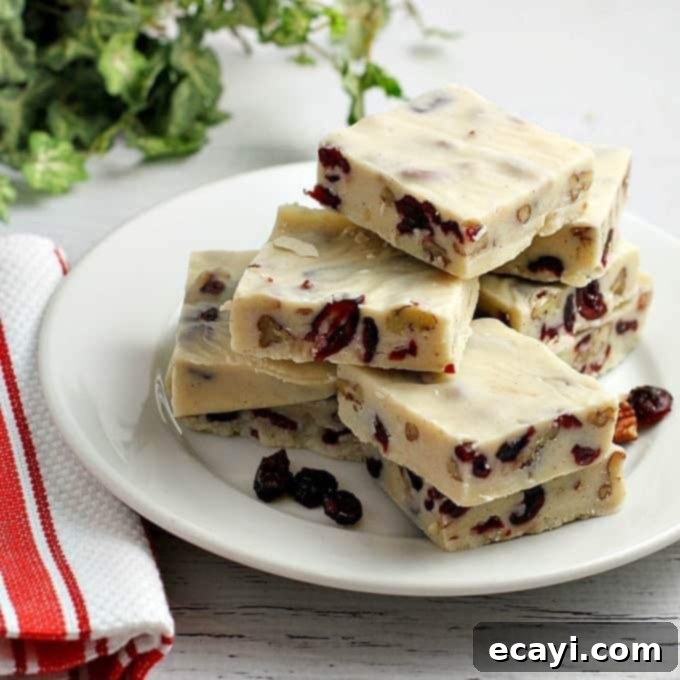 Blissful White Chocolate Cranberry Fudge 1 featured 16064