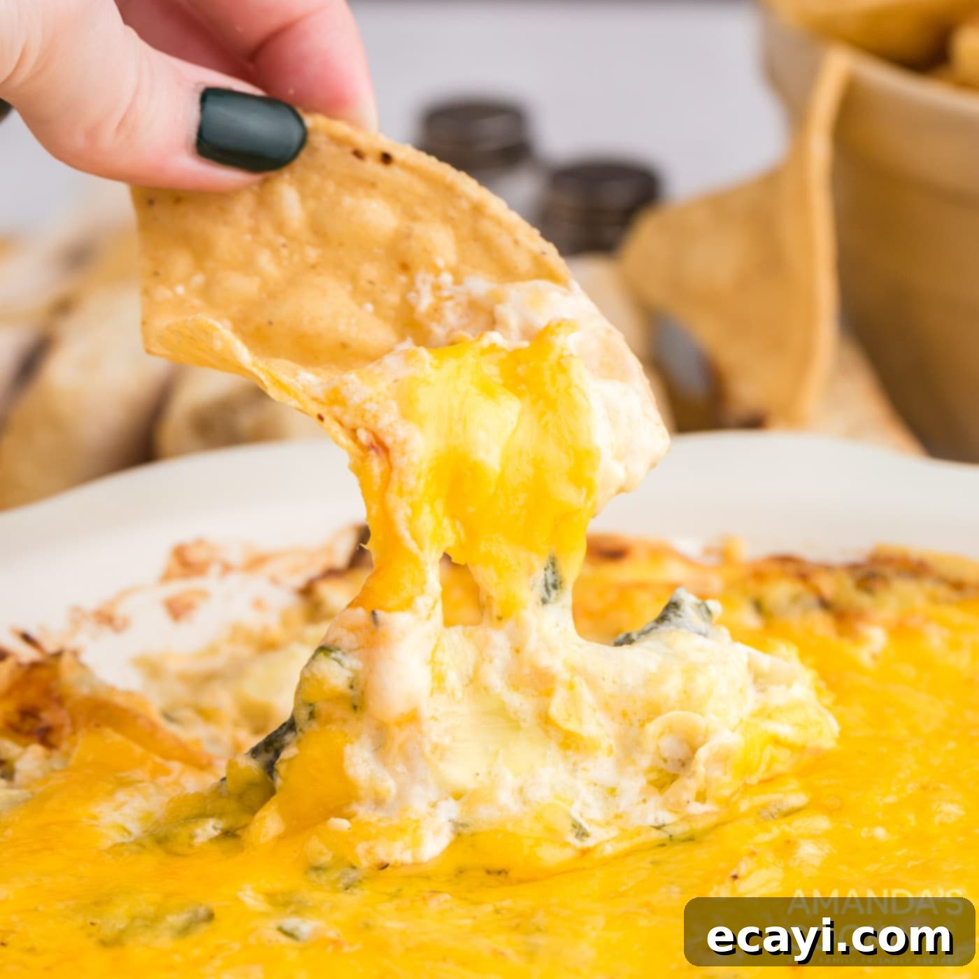 Piping Hot Cheesy Spinach Delight 1 featured 16219