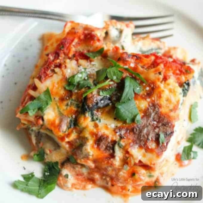 Garden Vegetable Lasagna 1 featured 17931