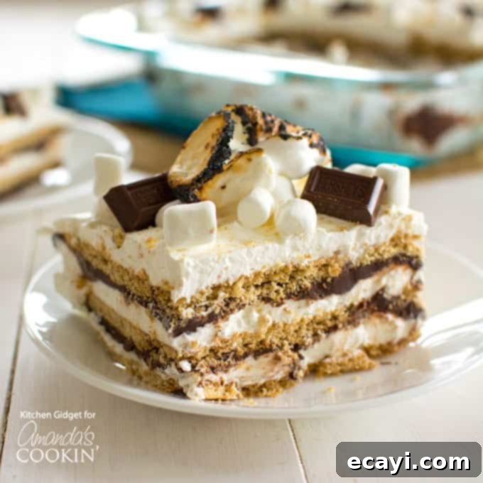 Smores No Bake Dream Cake 1 featured 18347