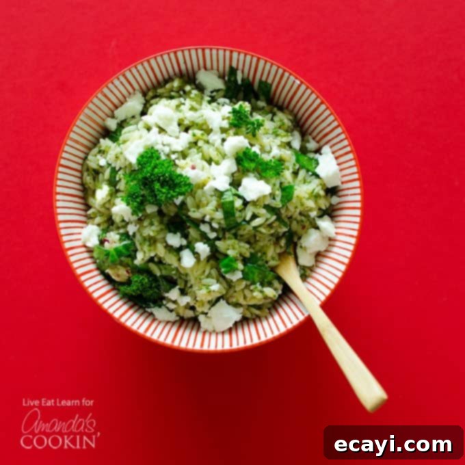 Vibrant Chimichurri Orzo Salad 1 featured 19250
