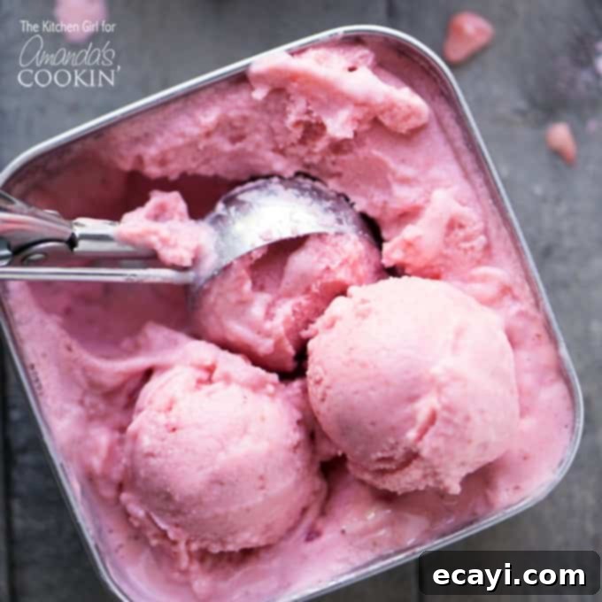 Creamy Strawberry Frozen Yogurt 1 featured 19570