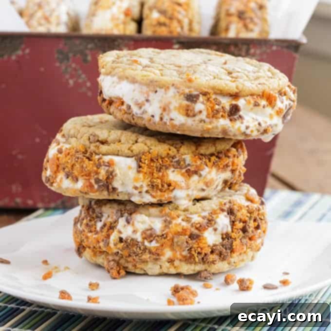 Butterfinger Crunch Ice Cream Sandwiches 1 featured 19999