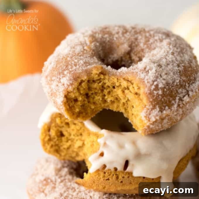 Pumpkin Spice Donuts 1 featured 20722