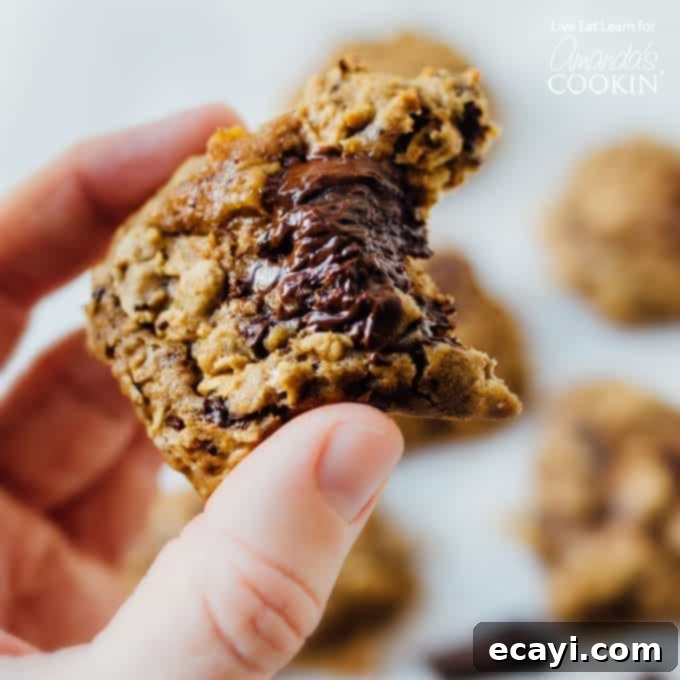 Wholesome Sweet Potato Oat Treats 1 featured 21244