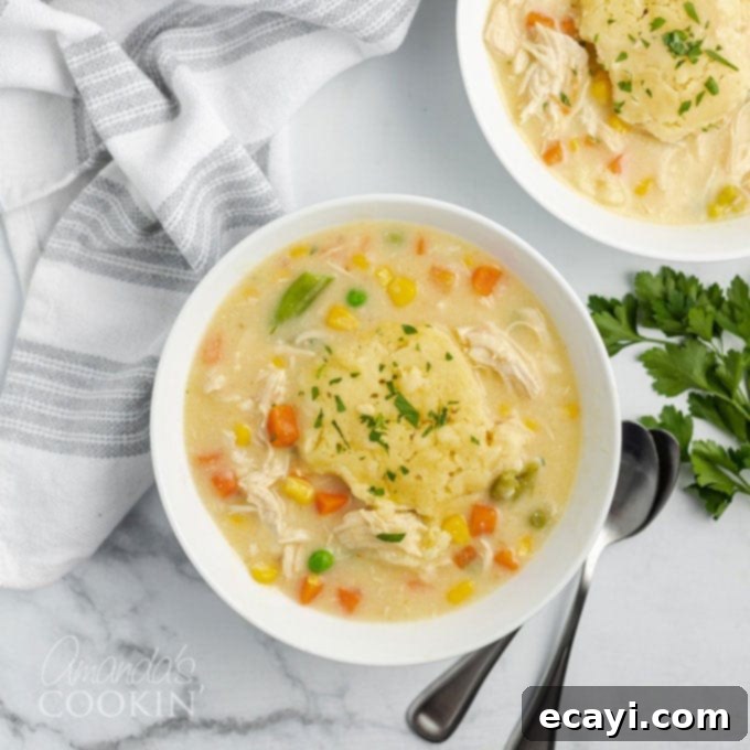 Hearty Slow Cooker Chicken and Dumplings 1 featured 21560