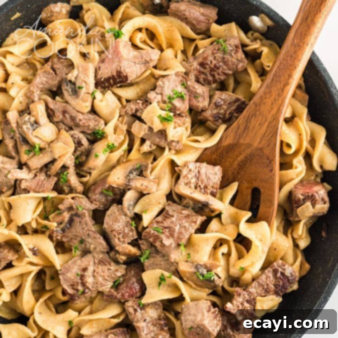 Classic Beef Stroganoff 1 featured 22075