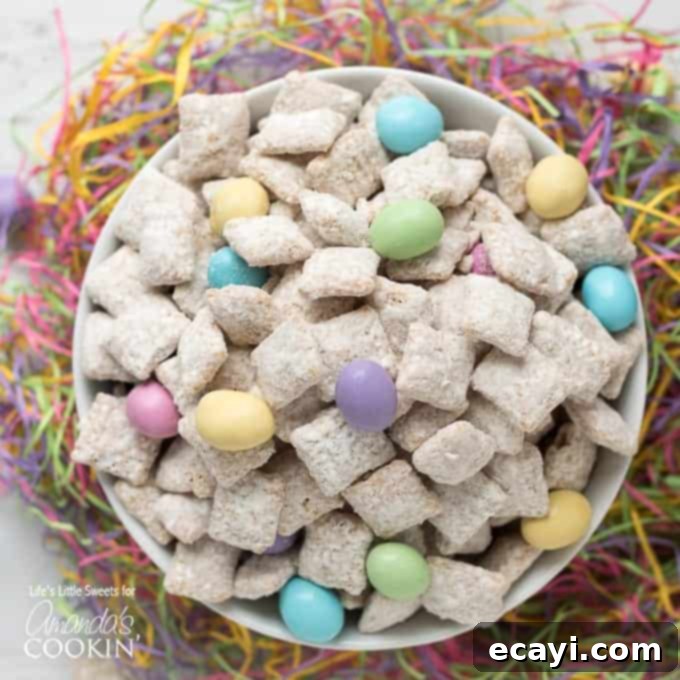 Easter Bunny Chow 1 featured 22507