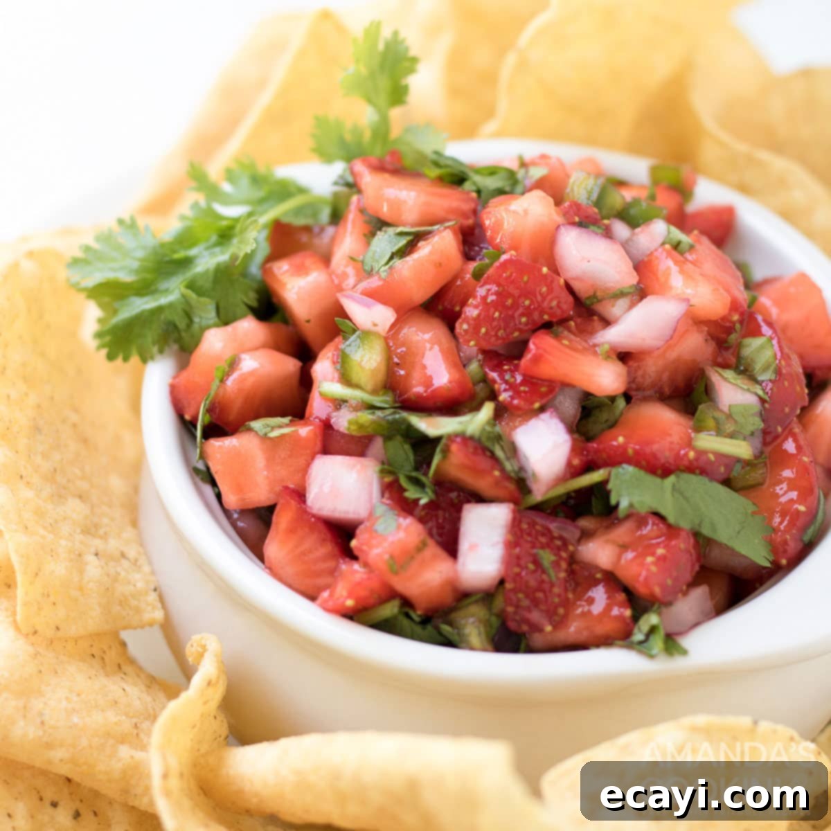 Summer Strawberry Salsa 1 featured 23356