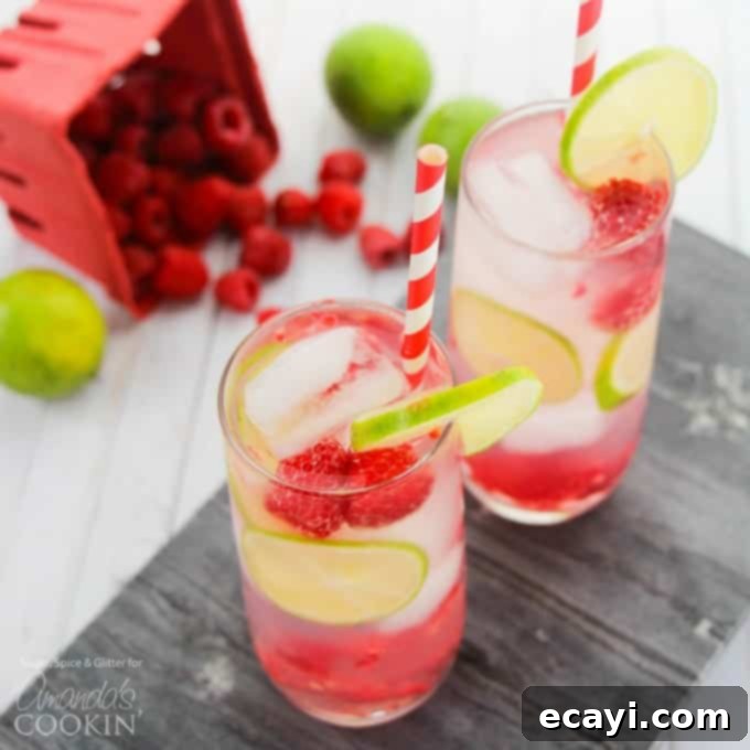 Sparkling Raspberry Gin Rickey 1 featured 23552