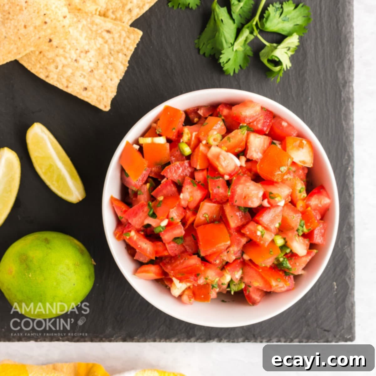 Garden Fresh Salsa 1 featured 23999