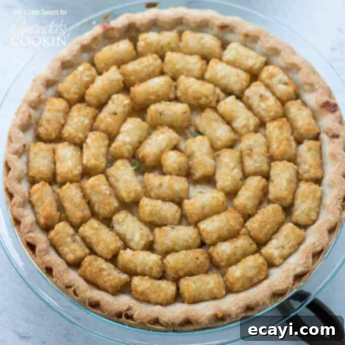 Golden Tater Tot Chicken Pot Pie Bake 1 featured 28723