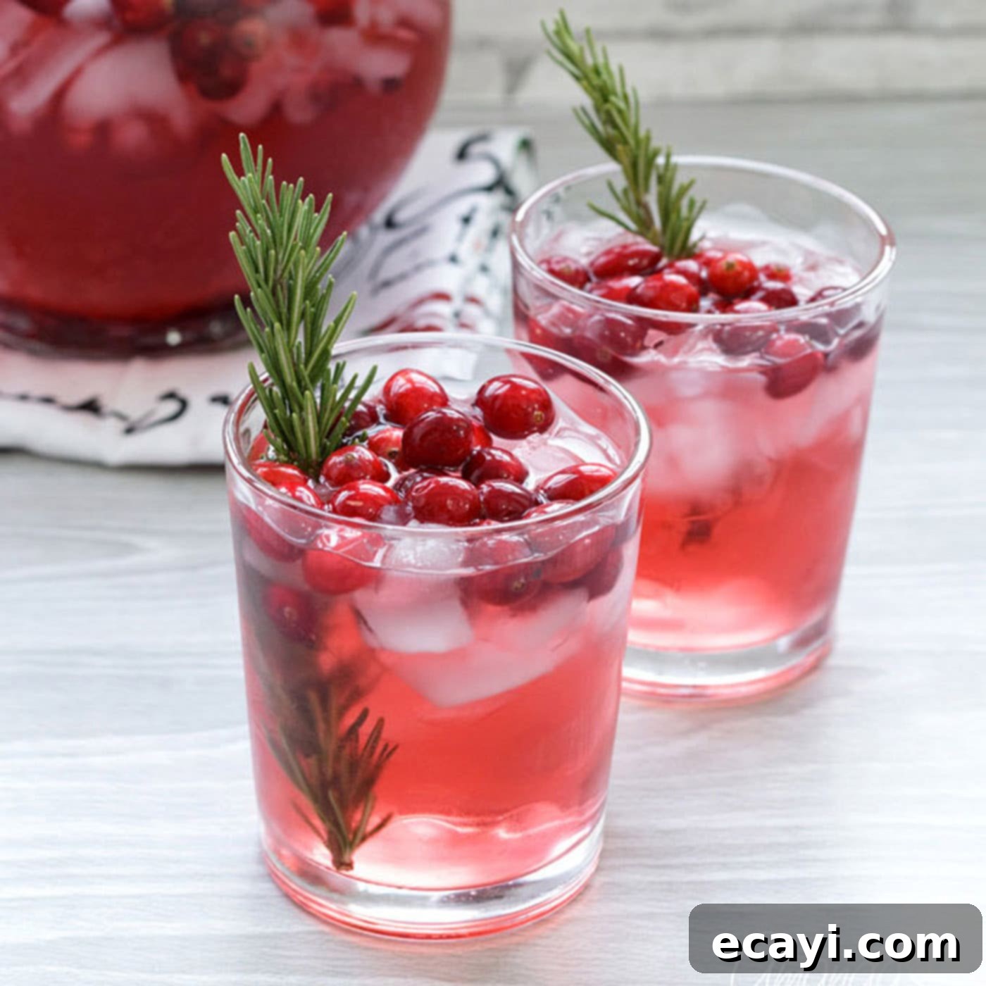Cranberry Season's Delight 1 featured 28872