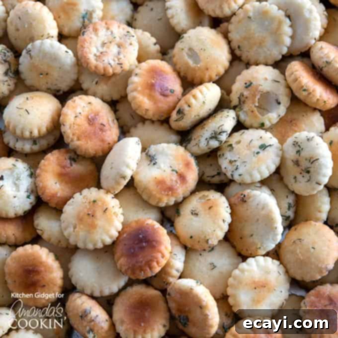 Zesty Ranch Oyster Bites 1 featured 29660