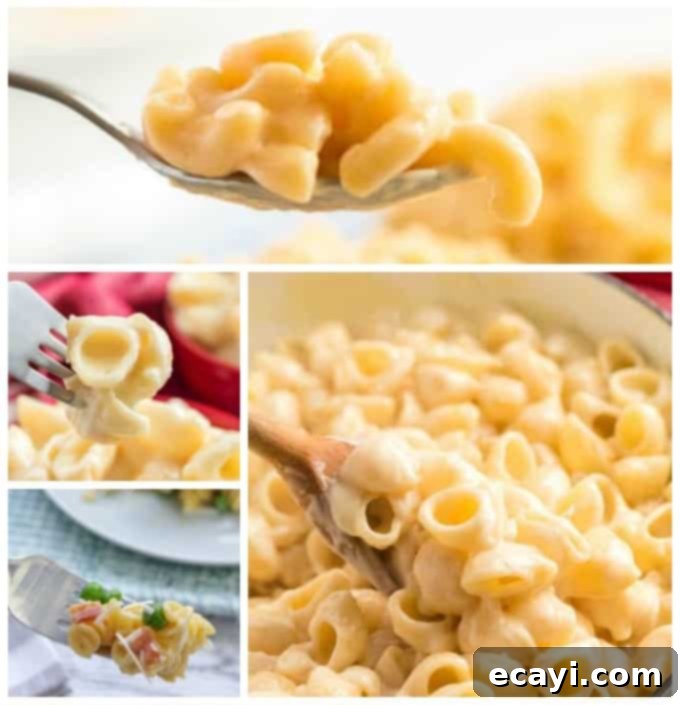 10 Irresistible Mac and Cheese Recipes 1 featured 31439