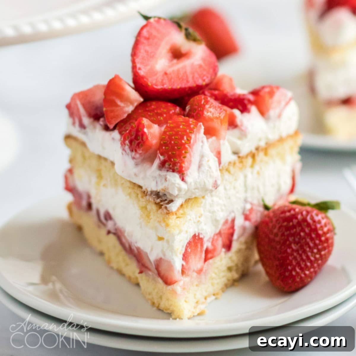 Berry Sweet Adventures 1 featured 32257