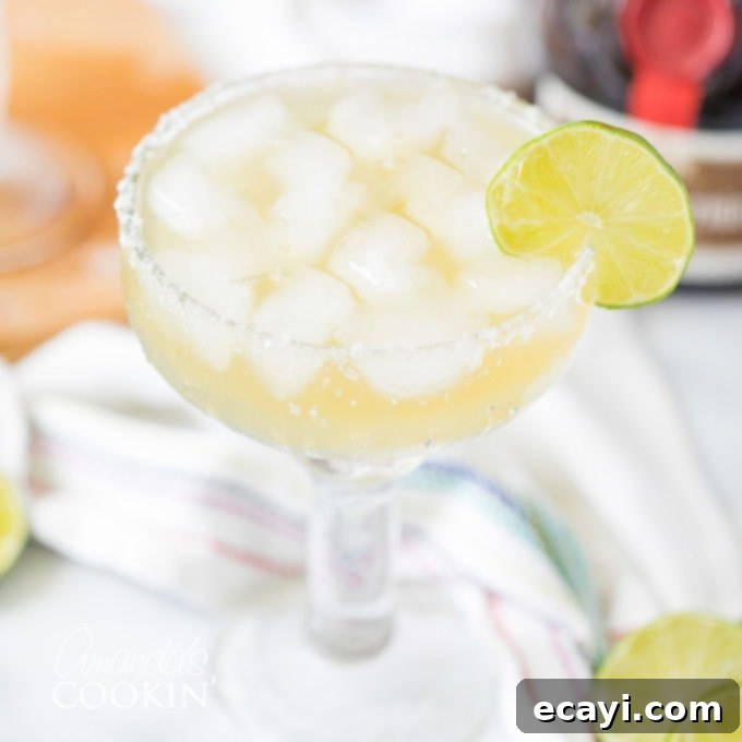 The Margarita Enigma 1 featured 33107