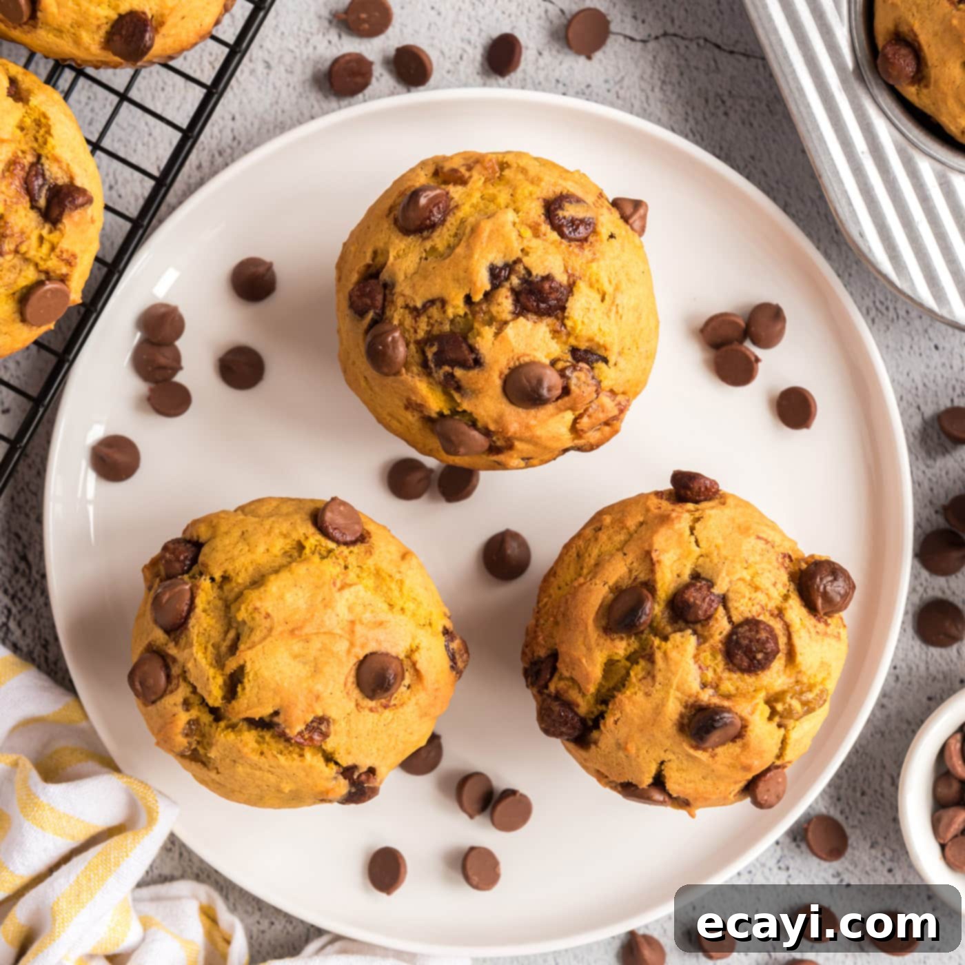 Spiced Pumpkin Chocolate Chip Muffins 1 featured 3345