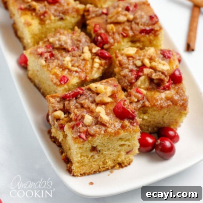 Bright Cranberry Coffee Cake 1 featured 3359
