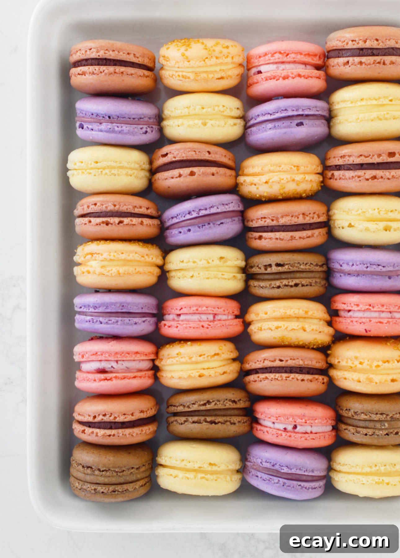 Flawless Macarons: Solving Every Problem to Achieve French Perfection 1 featured 3375