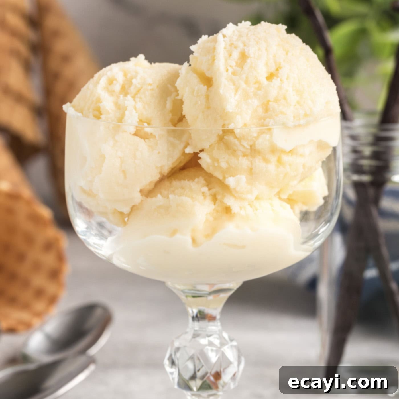 The Ultimate Homemade Vanilla Ice Cream 1 featured 3378