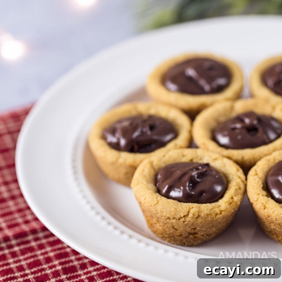 Fudgy Peanut Butter Delights 1 featured 3383
