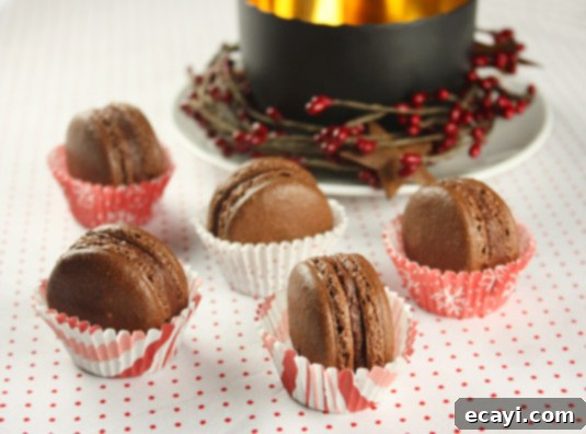 Decadent Chocolate Chestnut Macarons 1 featured 3434
